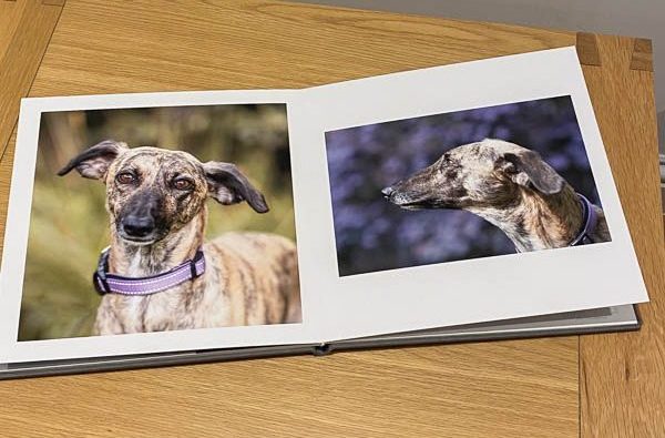 Open pet photo album with 2 dog portraits