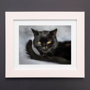 A beautiful white framed print