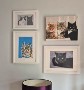Pet Portraits in frames on a living room wall